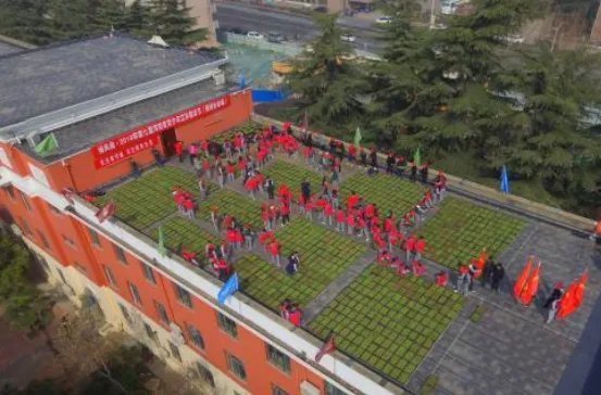 青少年为何要在楼顶植绿？