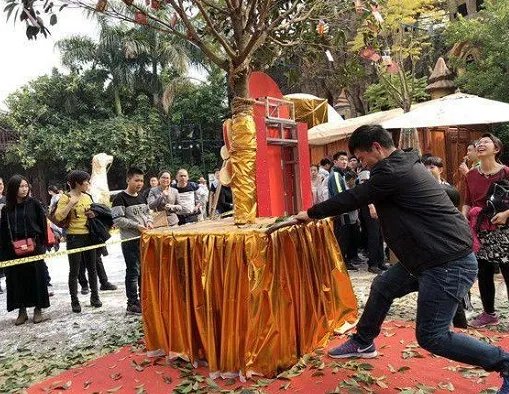 景区摇钱树被摇断说明了什么问题？