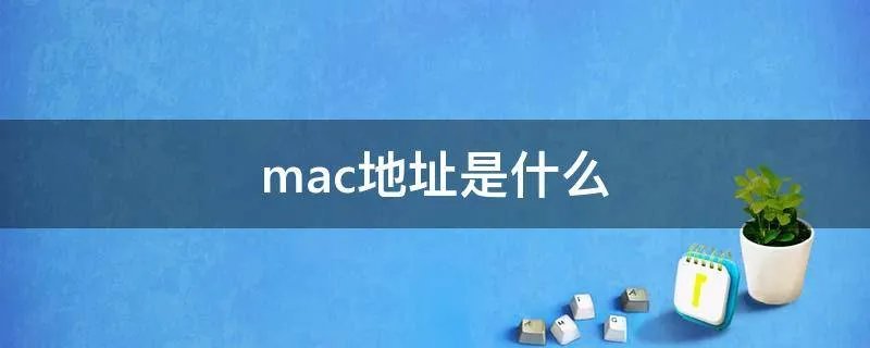 mac地址是什么