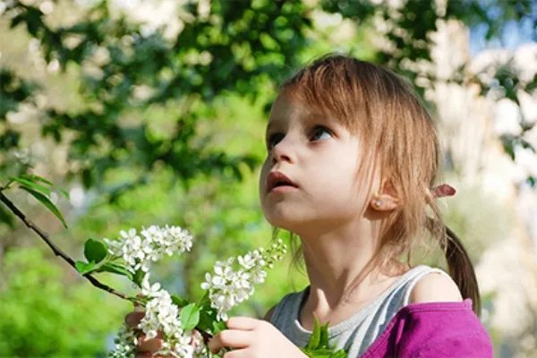 名字叫菡心的意思 名字菡心五行属什么