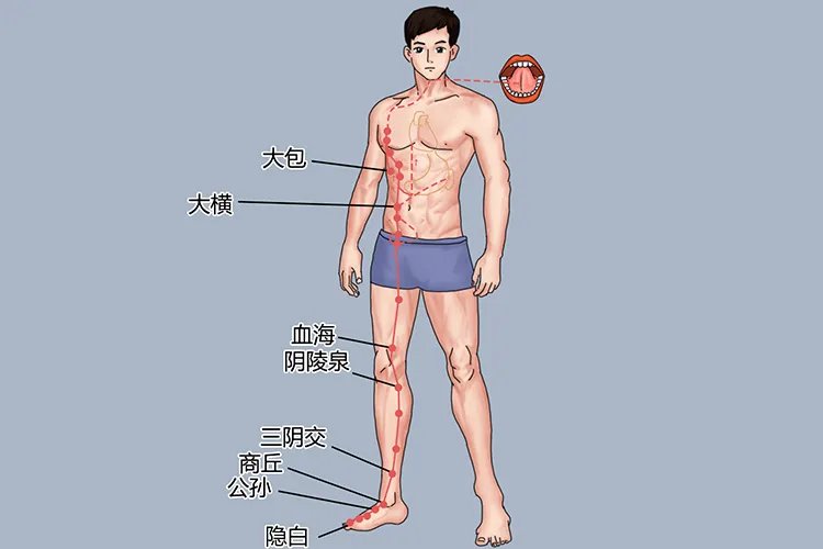 十二经络图及走向图