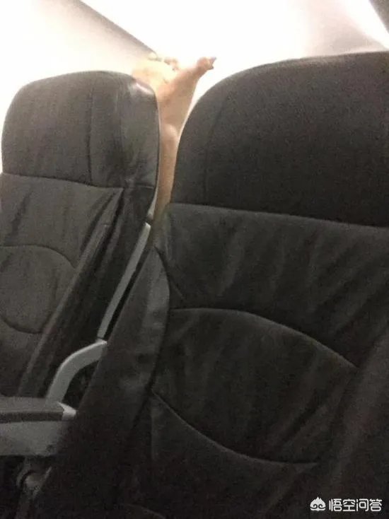 韩国大妈飞机晾脚是怎么回事？