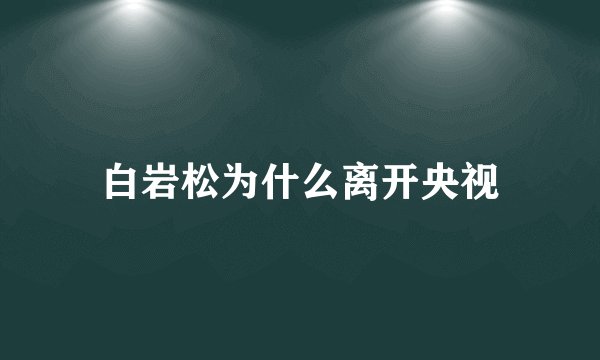 白岩松为什么离开央视