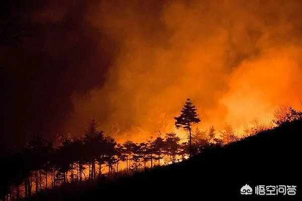 四川山火30名扑火队员遇难