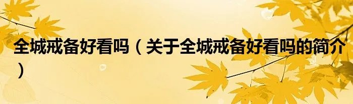 全城戒备好看吗（关于全城戒备好看吗的简介）