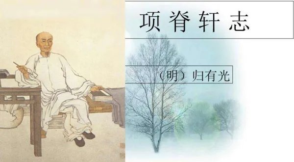 亭亭如盖的意思是什么