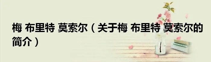 梅 布里特 莫索尔（关于梅 布里特 莫索尔的简介）