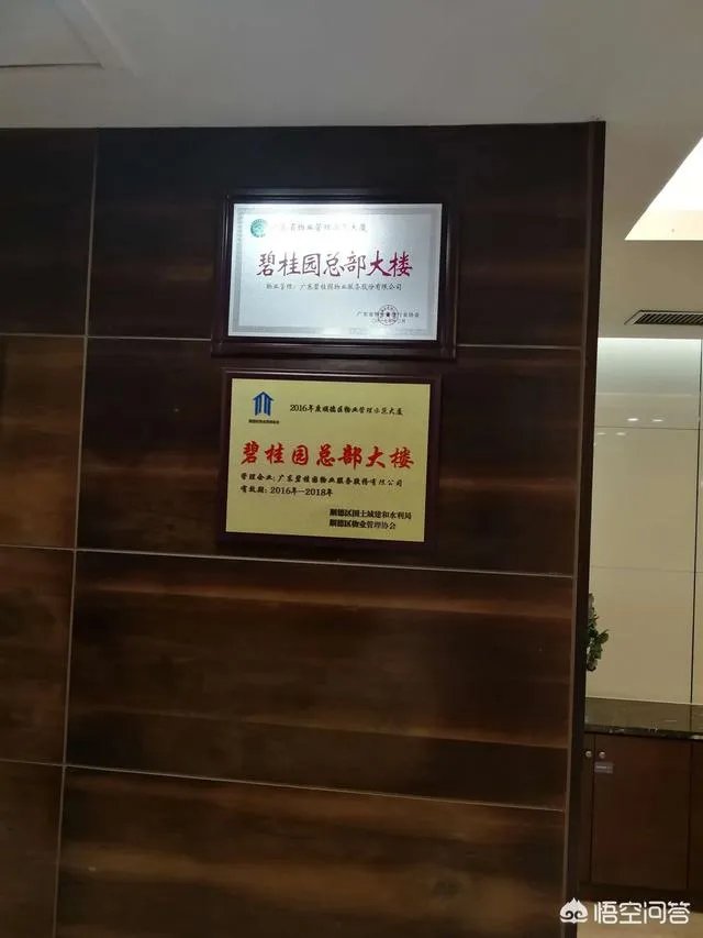 碧桂园有9000亿负债难道一点都不慌吗，你如何看？