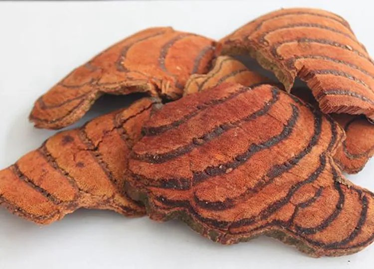 鸡血藤的功效与作用