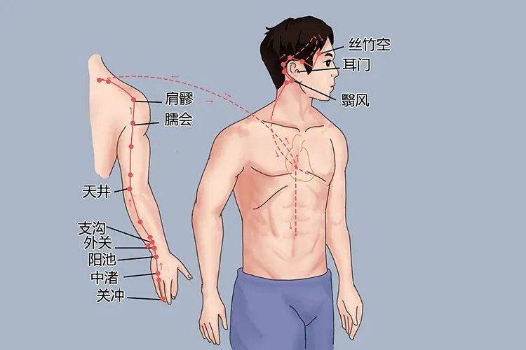 十二经络图及走向图