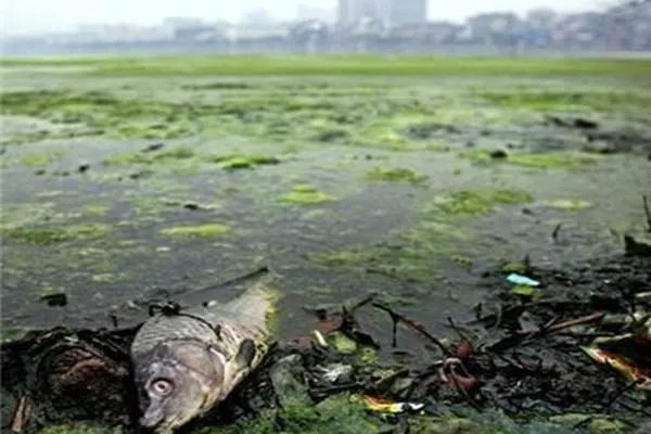 湖北数十村民饮用自来水中毒,引发中毒的原因是什么?