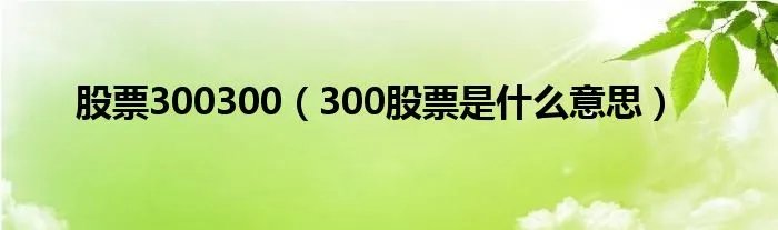股票300300（300股票是什么意思）