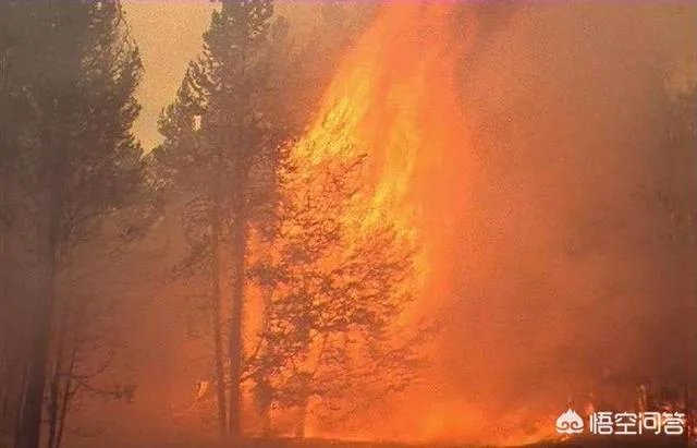 四川山火30名扑火队员遇难