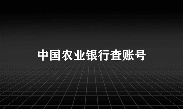 中国农业银行查账号