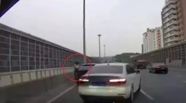 高架停车救小猫为什么引争议？