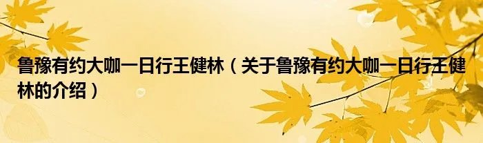 鲁豫有约大咖一日行王健林（关于鲁豫有约大咖一日行王健林的介绍）