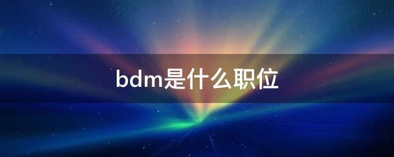 bdm是什么职位