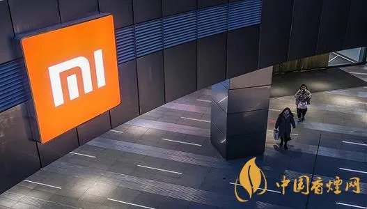 小米股价怎么跌得这么厉害 小米股价下跌原因分析