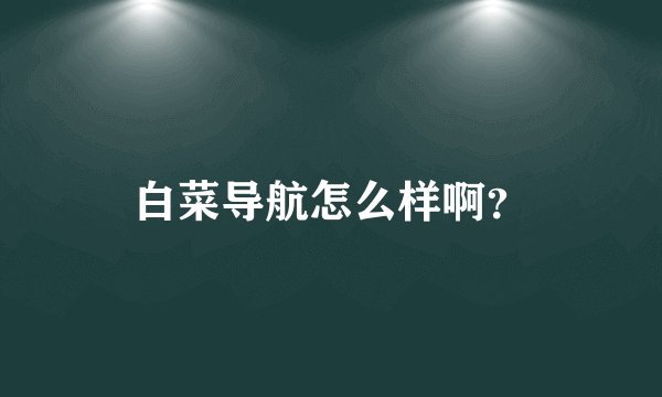 白菜导航怎么样啊？