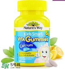 kids smart是什么牌子？kids smart是哪个国家的品牌？