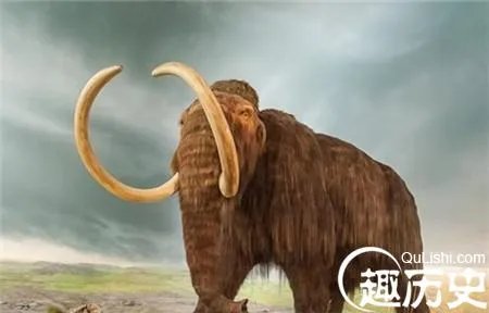 猛犸象