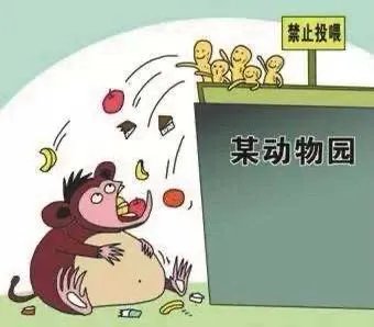 游客疑给动物喂口罩,到底是真是假呢?