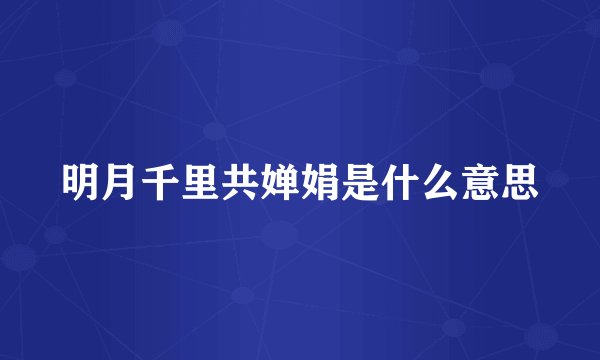 明月千里共婵娟是什么意思