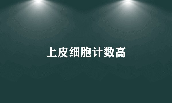 上皮细胞计数高