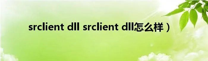 srclient dll srclient dll怎么样）
