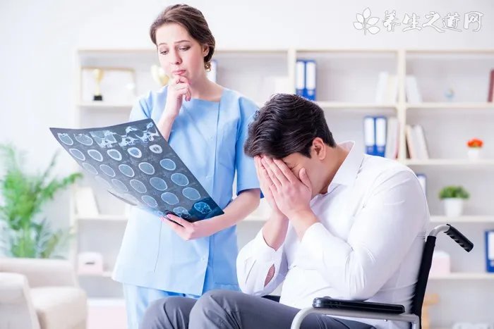 博美犬常见口腔和牙齿疾病