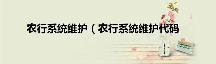 农行系统维护（农行系统维护代码