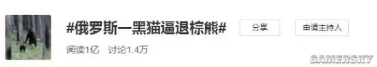 俄罗斯一黑猫逼退棕熊 网友：是不是罗小黑？