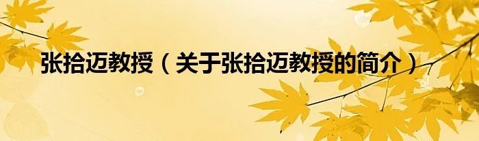 张拾迈教授（关于张拾迈教授的简介）