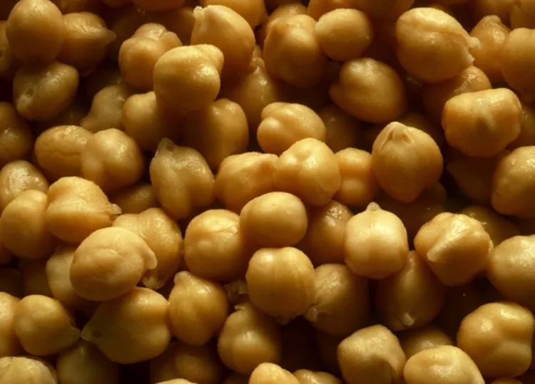 鹰嘴豆的功效与作用