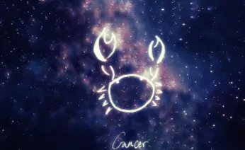 代表十二星座鞋有哪些 白羊座是球鞋