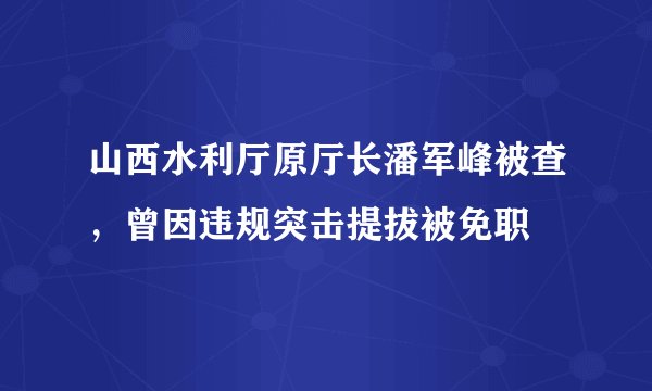 山西水利厅原厅长潘军峰被查，曾因违规突击提拔被免职