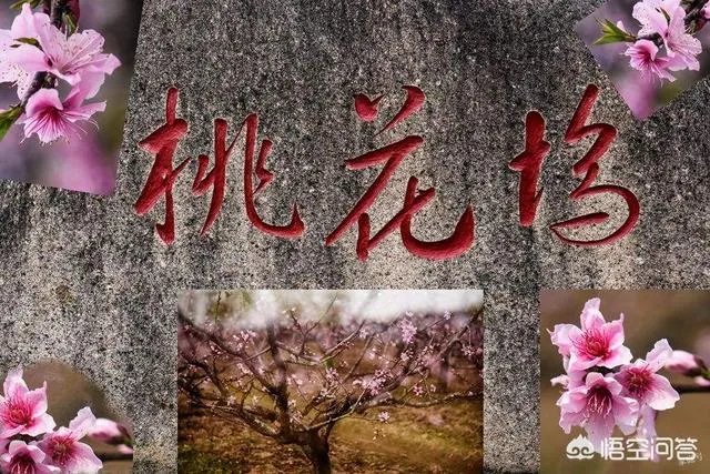 日藏逍遥谷，月过快活林。请对下联？