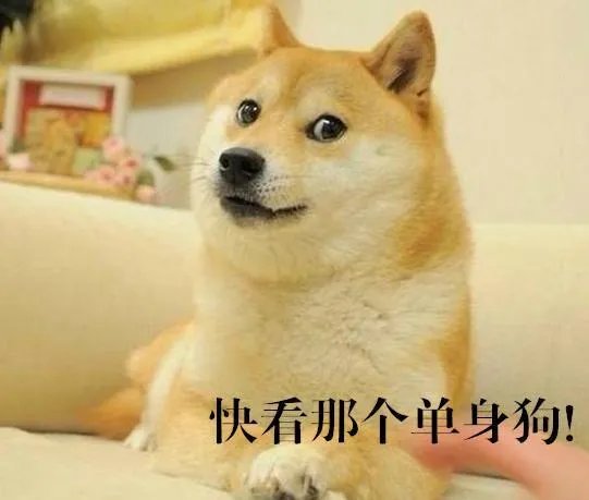 长期单身的姑娘有哪些特征？