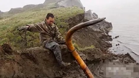 农民海边挖土 竟挖出巨额财富（图）