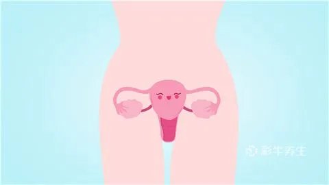 洁尔阴洗液使用方法