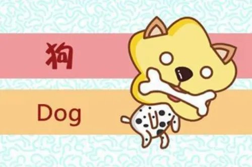 1982年属什么生肖配对 1982年属狗女最佳婚配有哪些