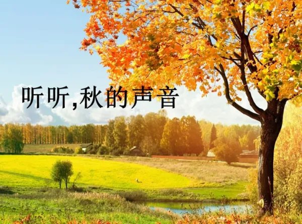 秋的声音仿写5句怎么写？