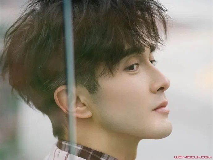 高伟光结婚了吗有妻子吗 老婆是杨吟吟的说法真假