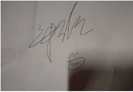 郑爽单独逛街扫货买了什么东西？