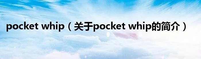 pocket whip（关于pocket whip的简介）