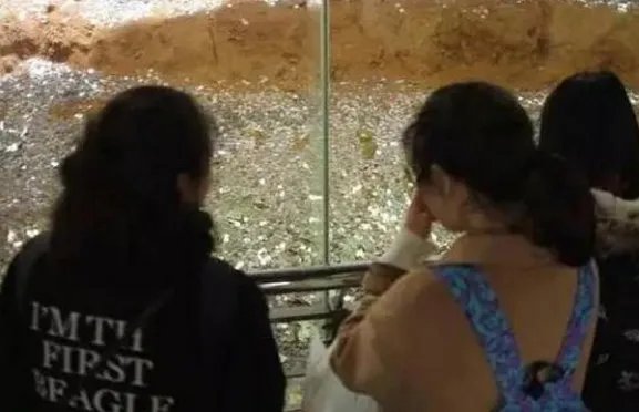 男子在许愿池捞钱真的吗？