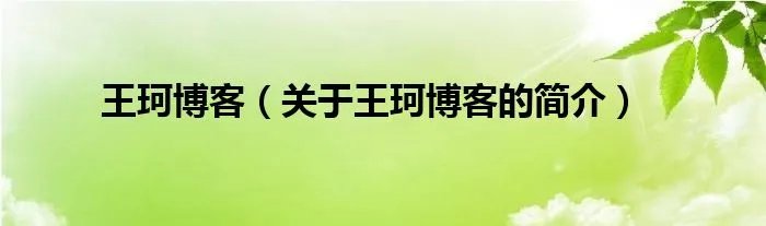 王珂博客（关于王珂博客的简介）