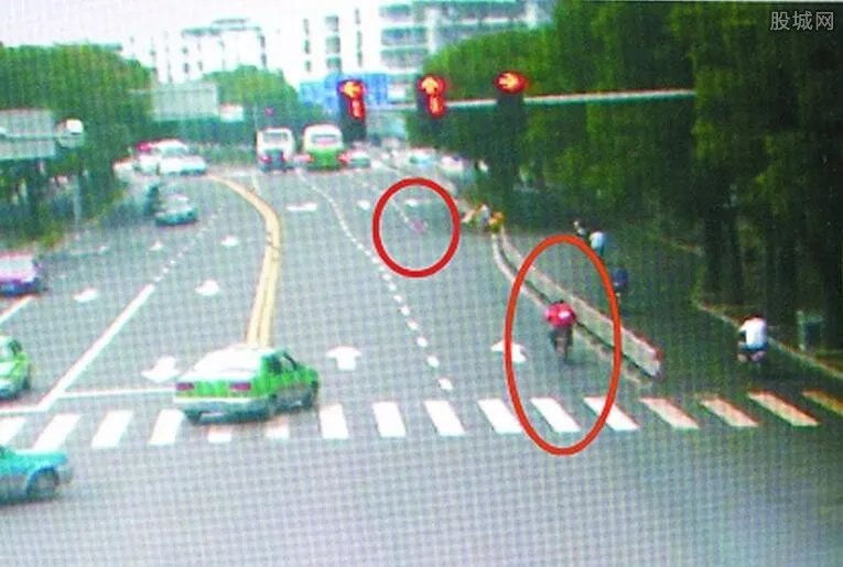 狗撞人主人赔偿 养狗主人赔偿达25万余元