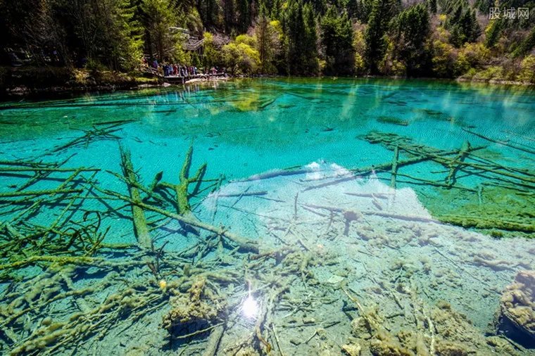 九寨沟火花海将开放 每日限流17000人
