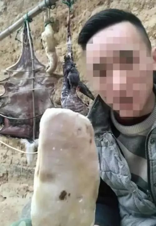 网络主播直播猎杀动物刑拘 为“吸粉”不择手段